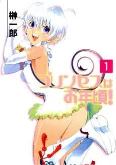 Princess wa Otoshigoro! cover
