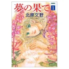 The end of the dream cover