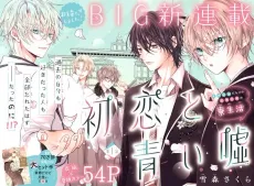Hatsukoi to Aoi Uso cover