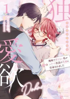 The Possessive CEO's Wallflower Bride cover