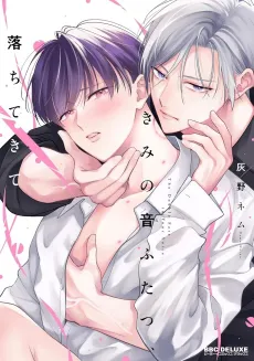Kimi no Ne Futatsu, Ochitekite cover