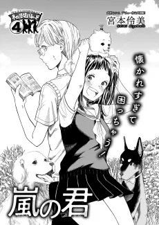 Arashi no Kimi cover