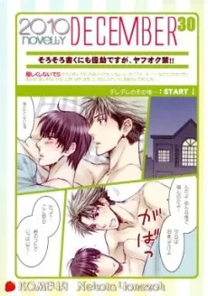 2010 novelty DECEMBER 30 cover