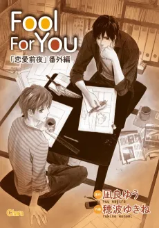 Fool For You cover