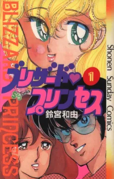 Blizzard Princess cover