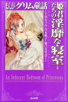 An Indecent Bedroom of Princesses cover
