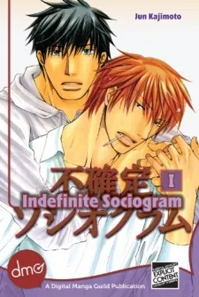 Indefinite Sociogram cover