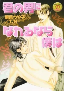 Kimi no Otoko ni Nareru Nara Boku wa cover