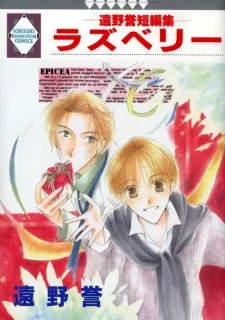 Raspberry cover