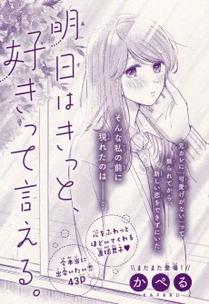 Ashita wa Kitto, Suki Tte Ieru. cover