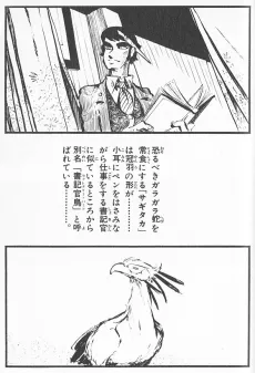 Secretary Bird cover