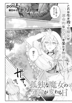 Kodoku na Majo no Unmei ga Kawaru Hi cover