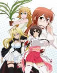 Sekirei cover