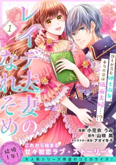 Reide Fusai no Nare Some cover