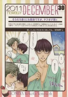 2011 novelty DECEMBER 30 cover