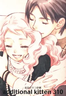 additional kitten 310 cover