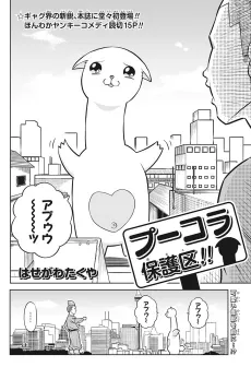 Pukora Hogoku cover