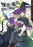 Second Story Online: Risou no Majo Mezashite Ganbarimasu. cover
