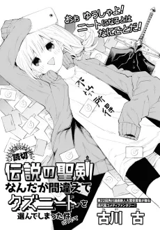 Densetsu no Seiken Nanda ga Machigaete Kuzu Neet wo Erande Shimatta Kudan ni Tsuite cover