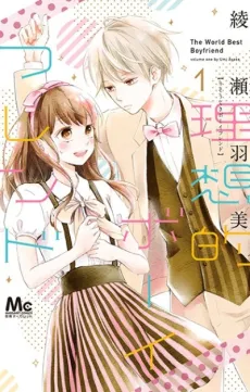 Risouteki Boyfriend cover