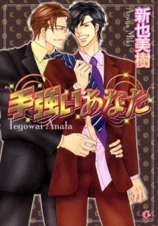 Tegowai Anata cover