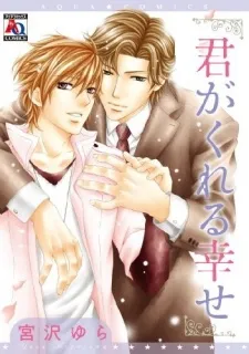 Kimi ga Kureru Shiawase cover