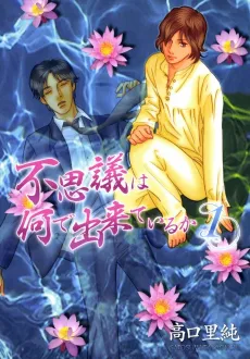 Fushigi wa Nande Dekiteiru ka cover