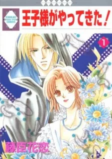 Oujisama ga Yatte Kita! cover