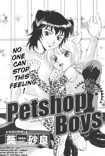 Petshop Boys cover