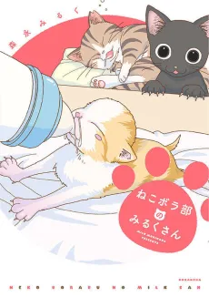 Neko Borabu no Milk-san cover