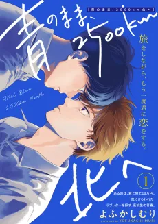 Ao no Mama, 2500km Kita e cover