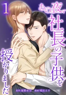 The Night I Got Pregnant by the CEO cover