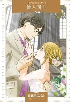 The Doubtful Marriage cover
