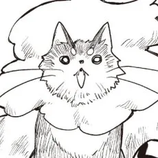Taiki Akitoki