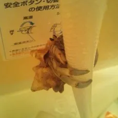 Masami Gouda