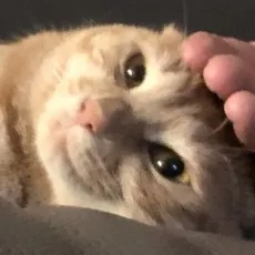 1172