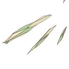 Zero Akabane