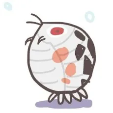 Ushitora Tsuragamachi