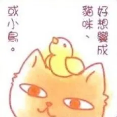 Neko Kanda
