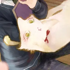 Himako Neko