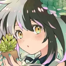 Hana Kimidori