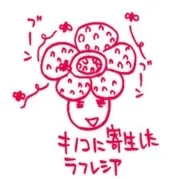 Shushushu Sakurai