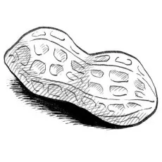 Ttangkong