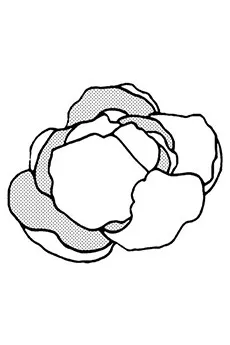 Nakatani