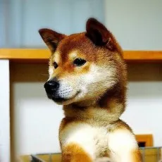Yuuta Kasai