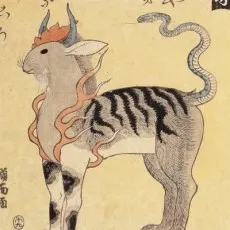 Nobutaka Shinya
