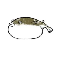 Fuku Kajii