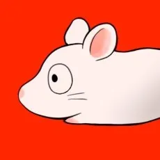 Yuki Kishimoto