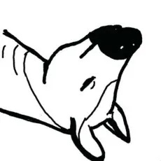 Okapaya