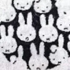 Hui